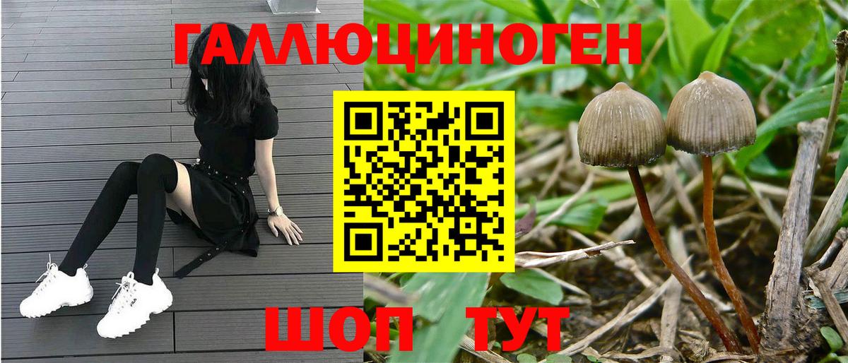 Галлюциногенные грибы MAGIC MUSHROOMS Воронеж