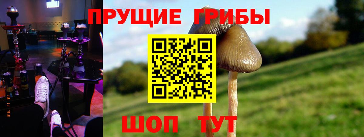 Воронеж  Галлюциногенные грибы мухоморы  Псилоцибиновые грибы Psilocybe  Вход с VPN 